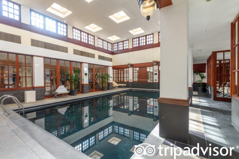 adult pool v18675136 768x512